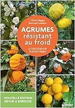 Agrumes résistant au froid: A cultiver en pleine terre