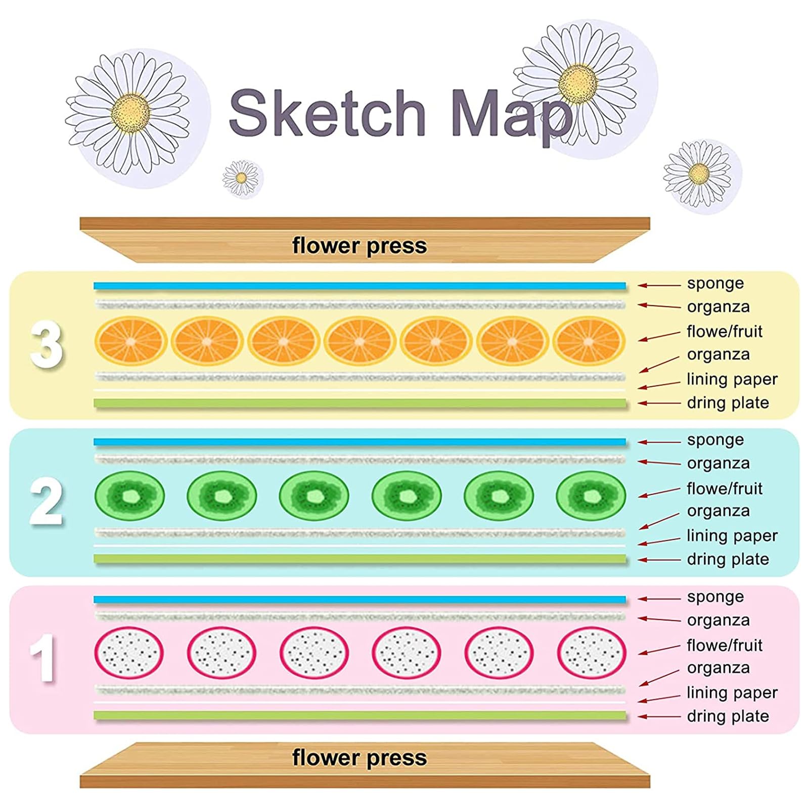 WANDIC Kit de prensa de flores, libro avanzado de prensa de plantas, kit de arte de madera grande para manualidades, especímenes, aprendizaje al aire libre, orquídea
