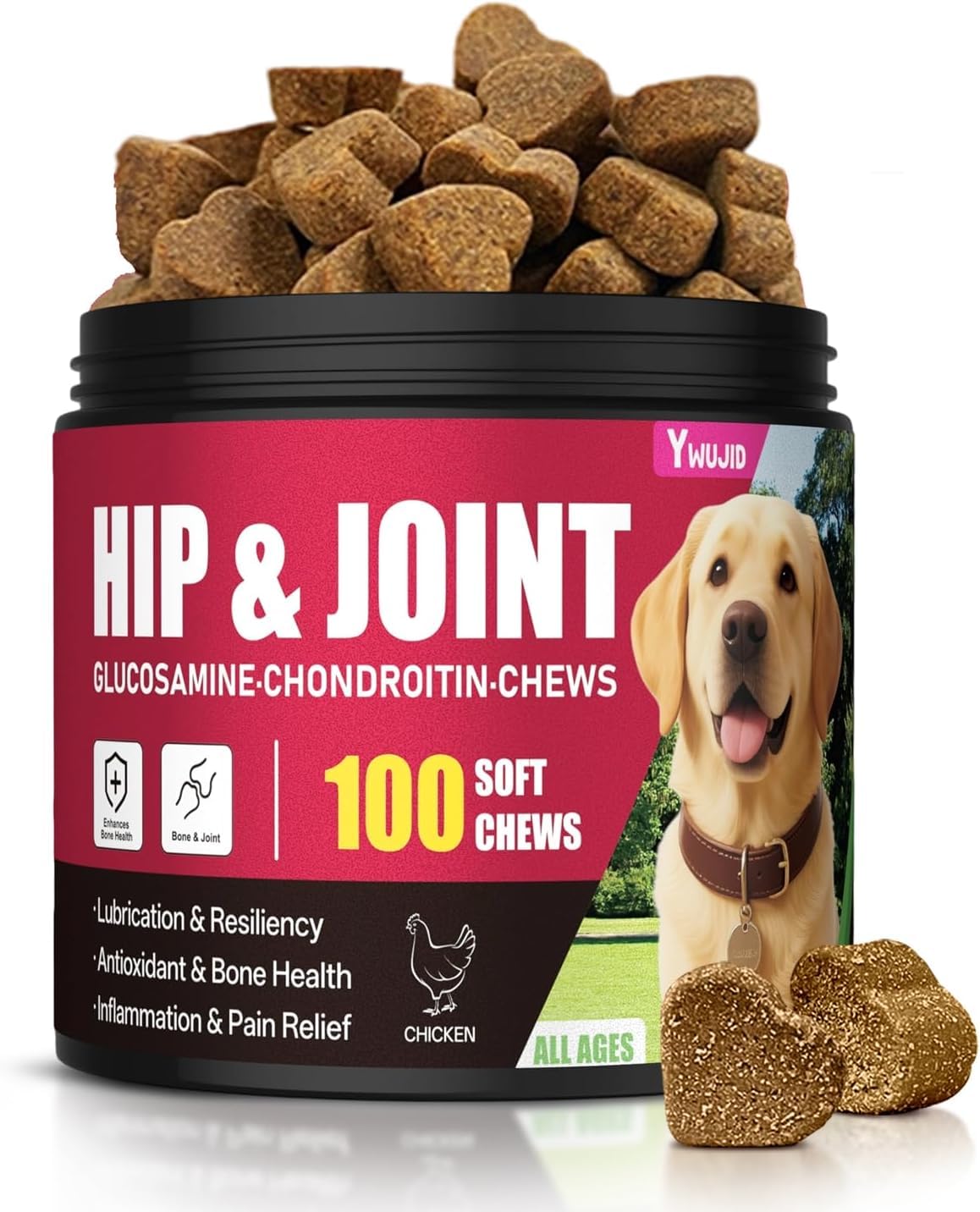 Hip and Joint Supplement for Dogs, Advanced Glucosamine for Dogs Vet-Formulated with Chondroitin, Msm,Omega 3, Pet Joint Health Support Mobility for All Puppy, Adult & Large Breed & Senior Dog