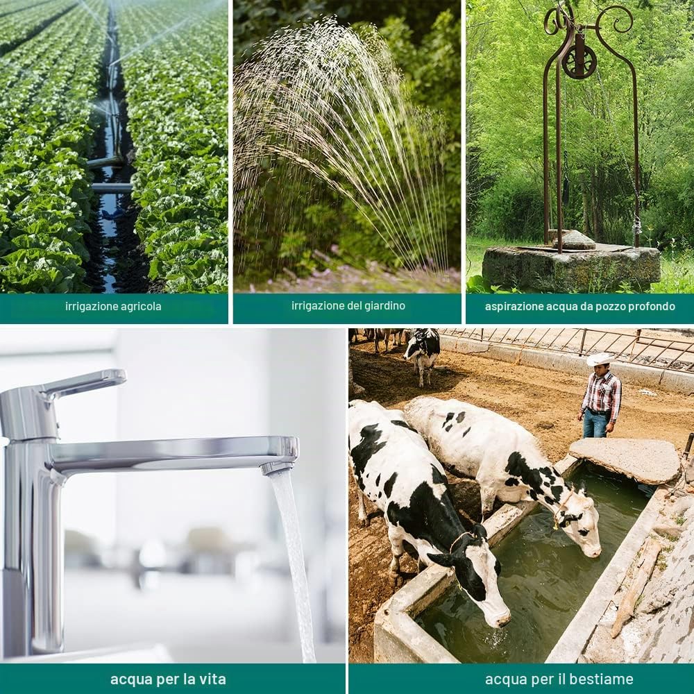 Randaco Pompa per fontana profonda 1,10 kW, Pompa d'Acqua Sommergibile 4000 l/h, Altezza massima di mandata 81m, pressione 8,1 bar con Cavo da 20M, Pompa Acqua in Acciaio Inossidabile
