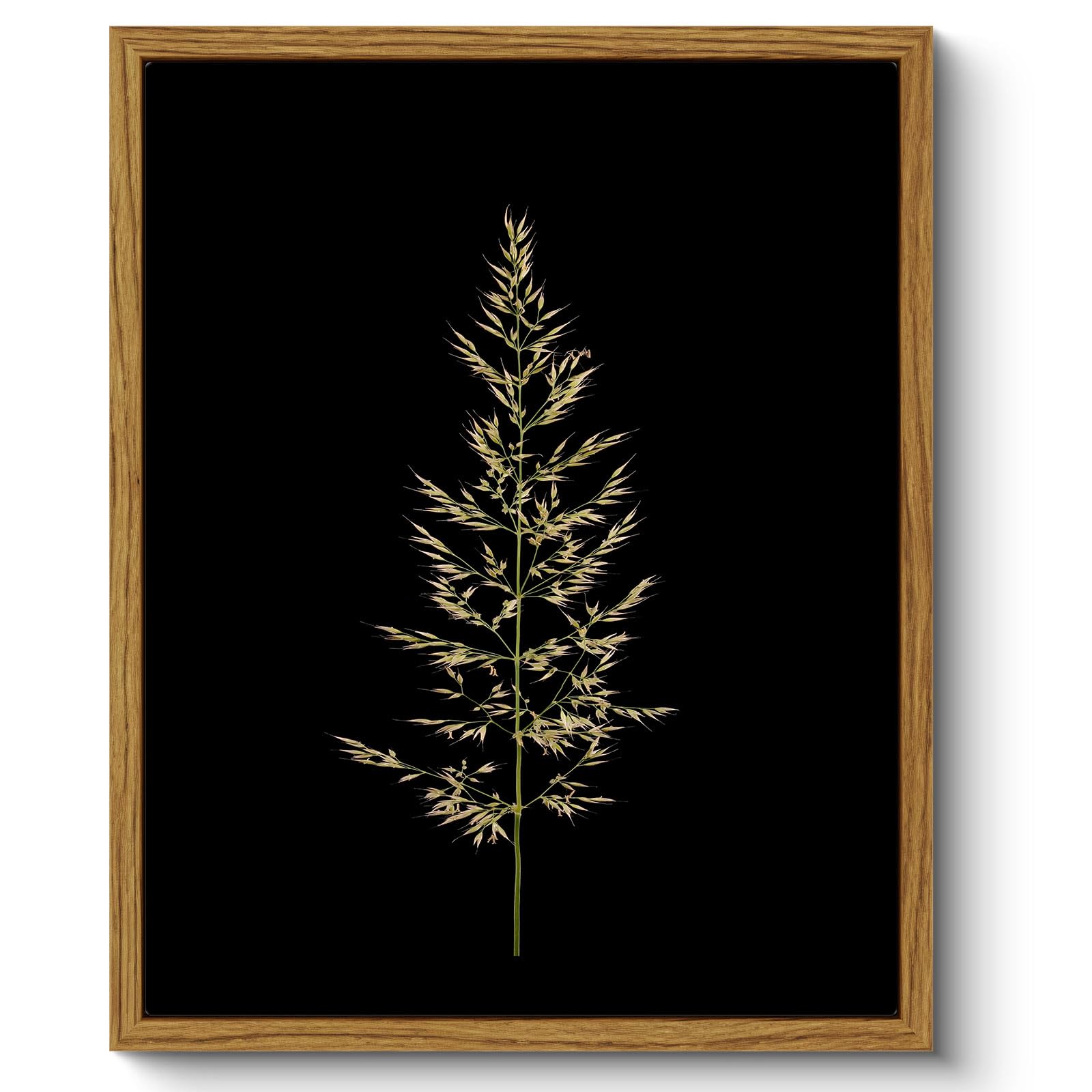 ARPEOTCY Vintage Framed Botanical Wall Art, Bedroom Bathroom Reed Grass Dark Black Art Decor, Canvas Print Retro Paintings, Home Neutral Farmhouse Fall Moody Decor, 8x10 Inch