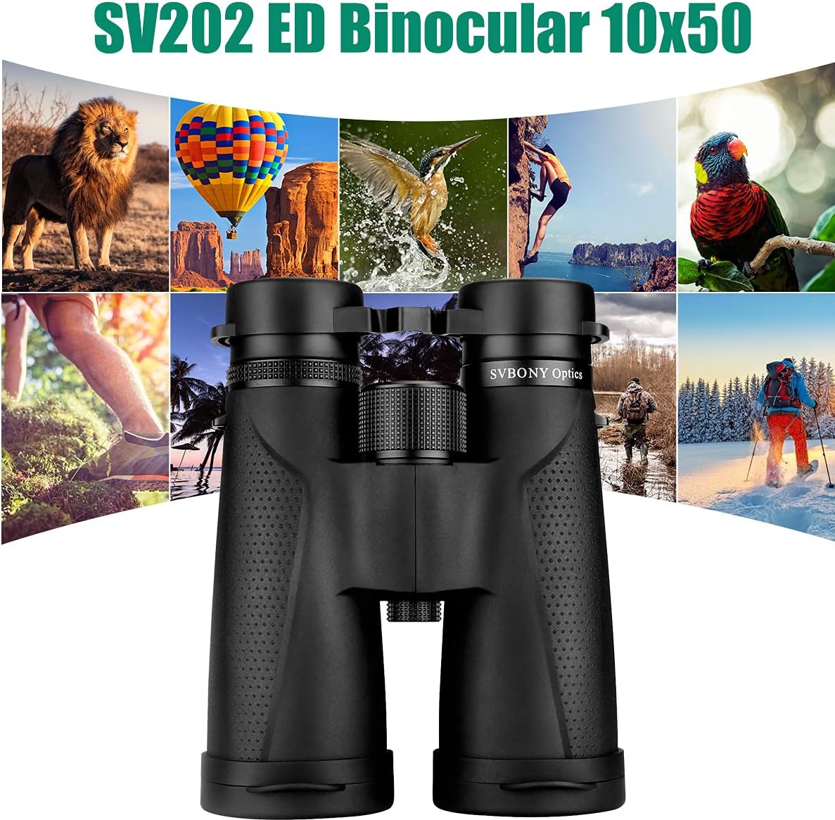 Close-up of the central focus wheel and right eyepiece diopter adjustment on Svbony SV202 ED Binoculars