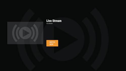 RCTV (Rochester Community TV)