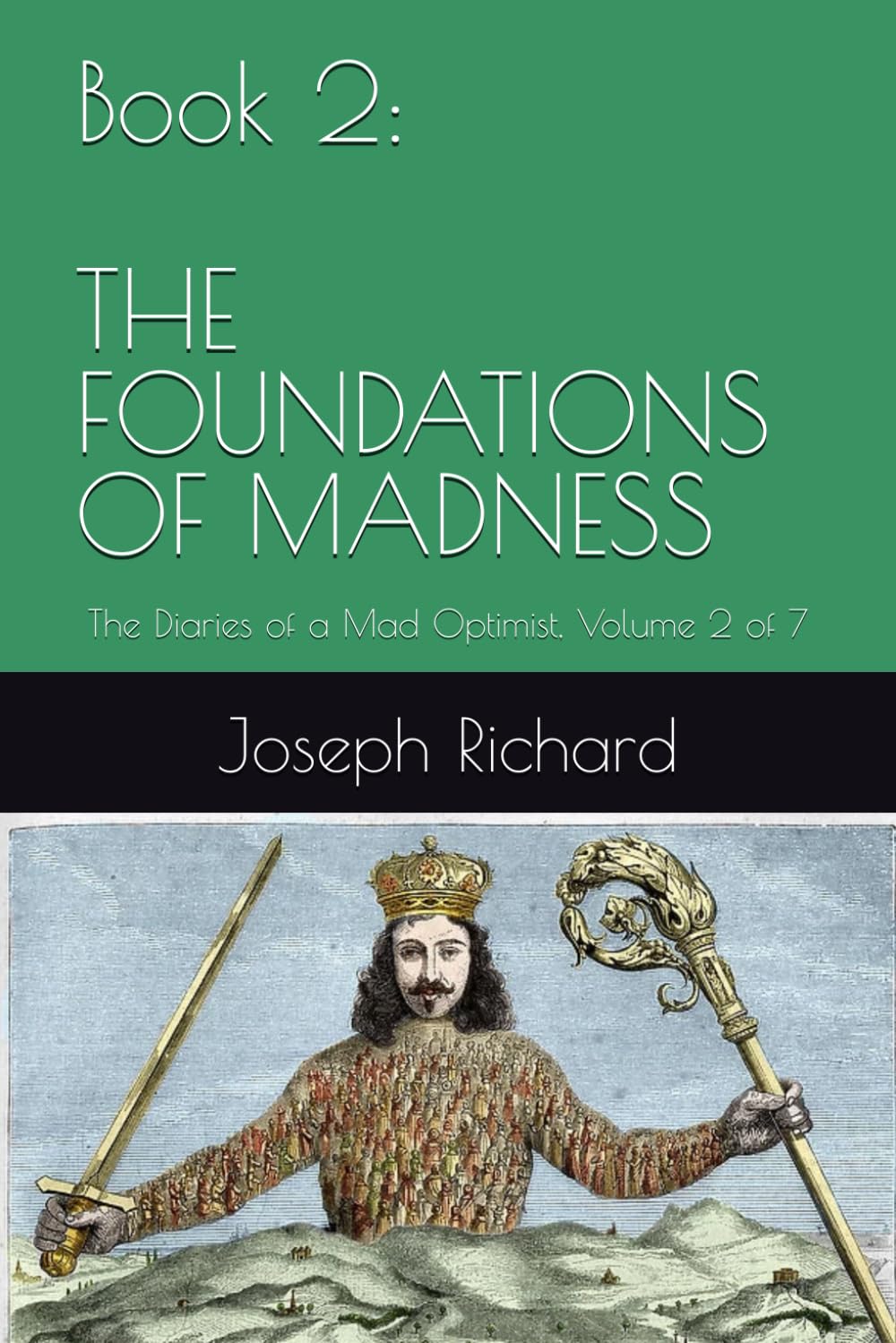 Book 2: THE FOUNDATIONS OF MADNESS: The Diaries of a Mad Optimist, Volume 2 of 6