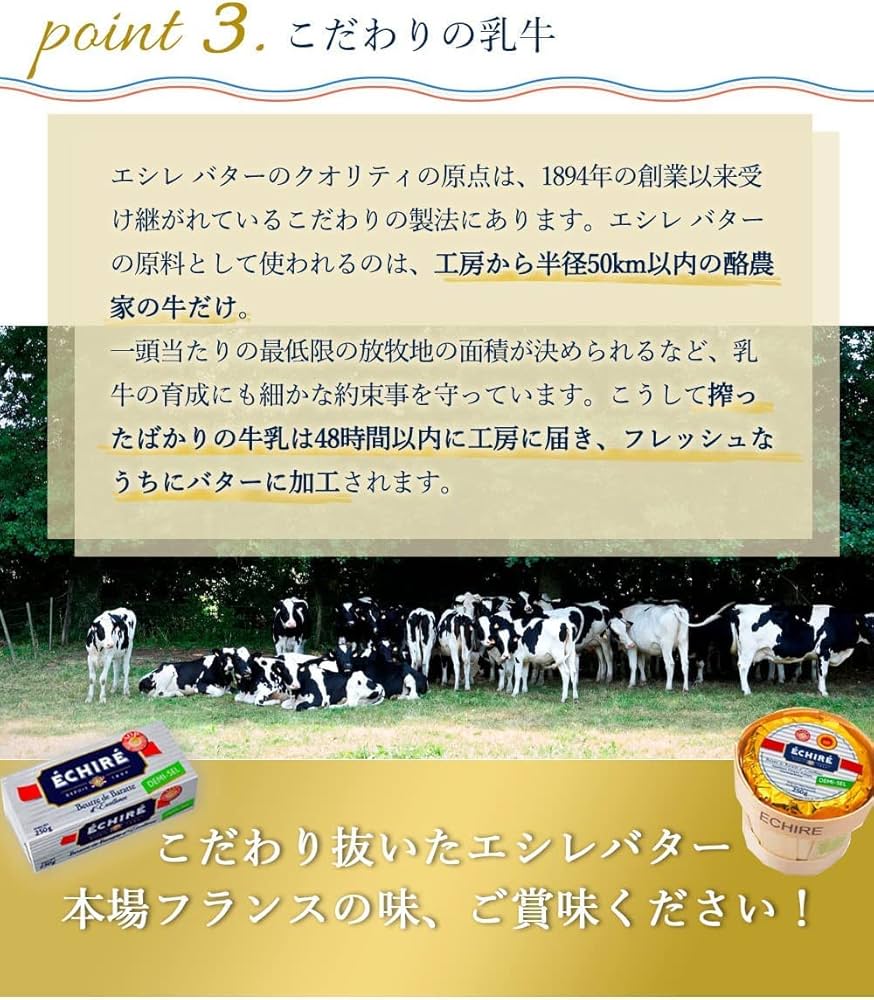 Amazon.co.jp: エシレバター 250g ブロック（有塩×4）【フランス