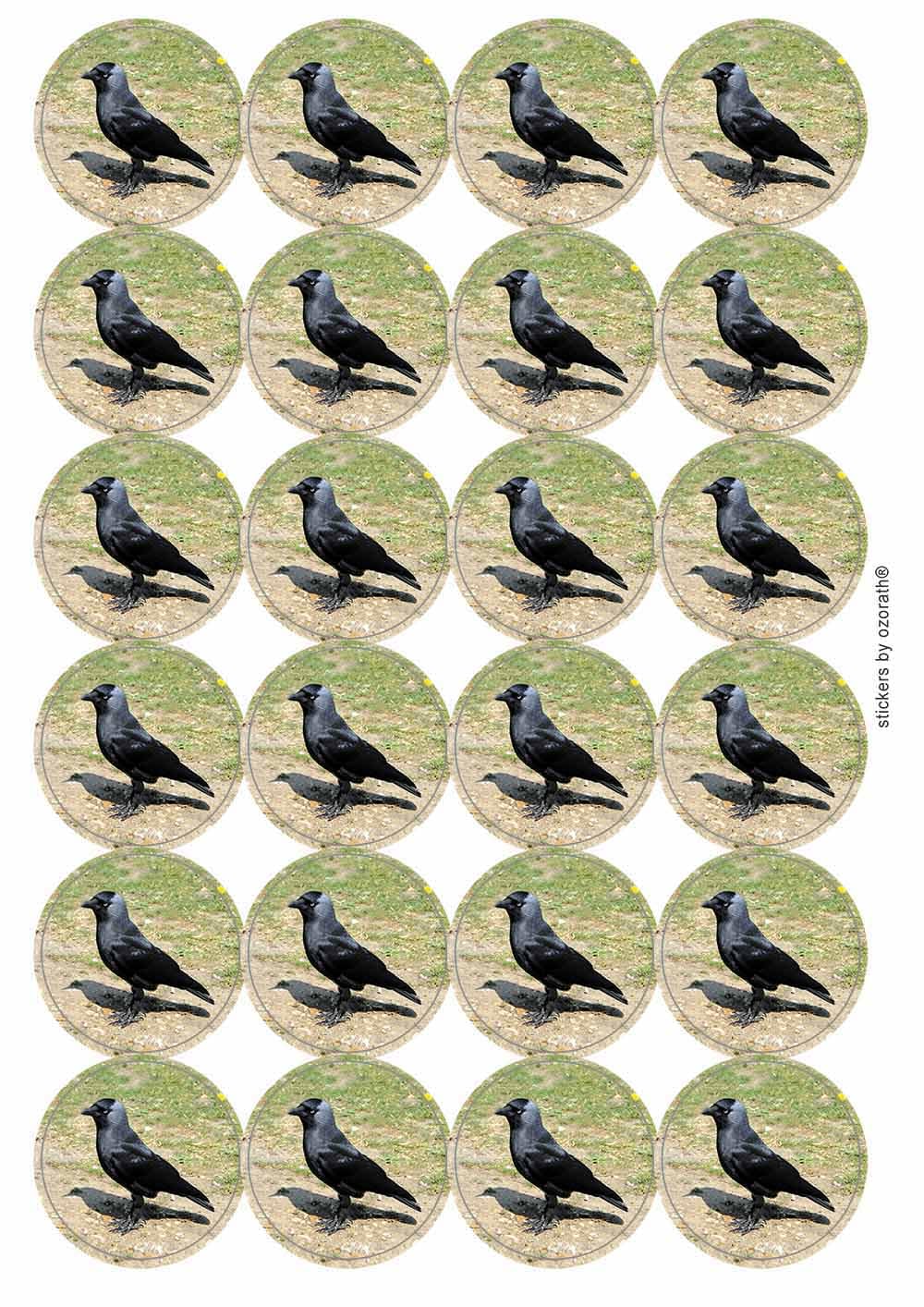 Ozorath Multicolor Jackdaw Circular Matt Paper Stickers A4 Sheet Of 24 (Each Sticker Is 45Mm Diameter)