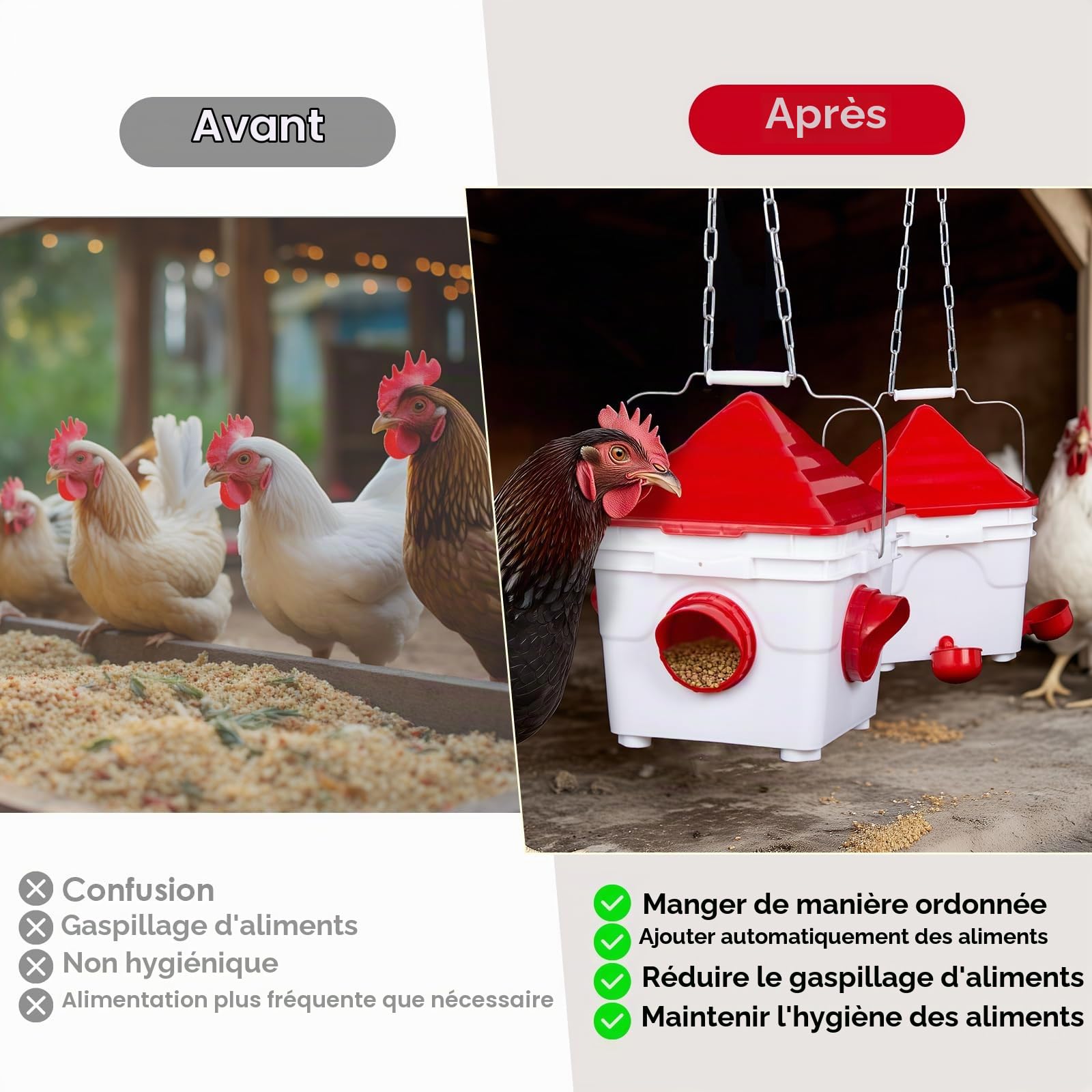 Todeco Ensemble Mangeoire 6 kg et Abreuvoir Automatiques 8 L pour Poules | 4 Ports et 4 Coupelles, 8 Pieds Amovibles, 2 Chaînes de Suspension en Acier, Installation au Sol ou Suspendue, pour Volailles
