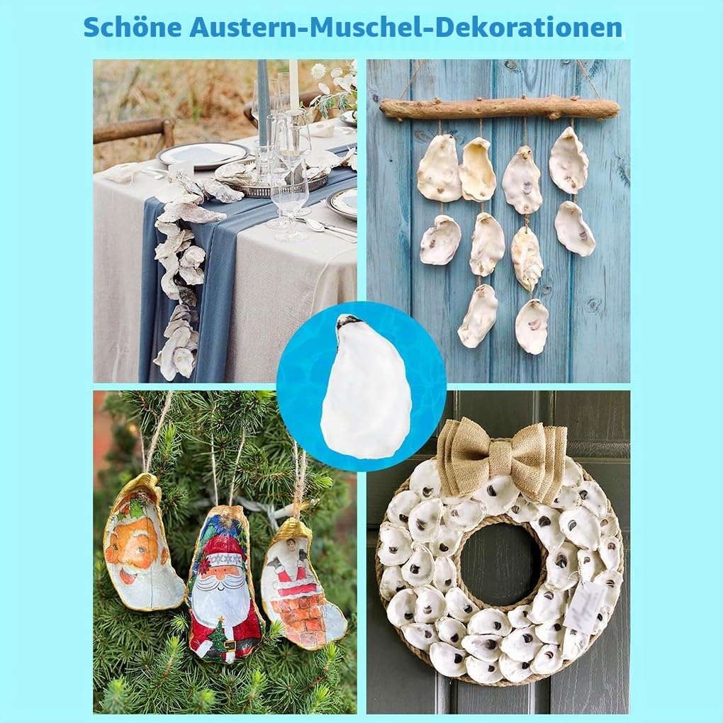 20 Packungen große Austernschalen zum Basteln liefern natürliche Wachstumsmuster mit Harter Textur für DIY Heimdekoration. 20 Stück Flache Austern