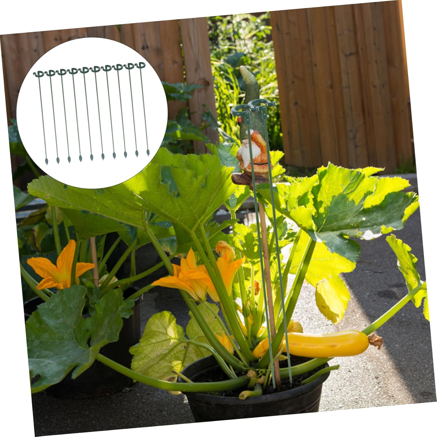 Toddmomy 4sets Indoor Plant Stake Holder Plant Support Stakes for Indoor Small Potted Support Garden 10pcs*4