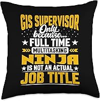 Vista 1 de Título del puesto de supervisor de SIG - Almohada divertida para director de GIS