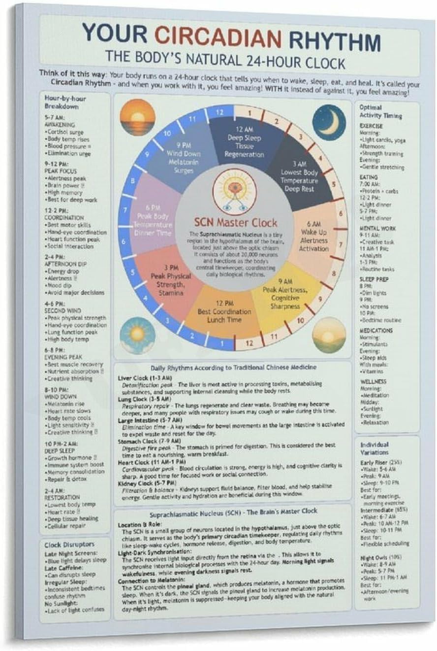 Framed Circadian Rhythm Chart & Sleep Cycle Guide Canvas Poster - 8x12 Inch Bedroom Office Decor Motivational Gift