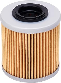 Oil Filter for BMW R1300R