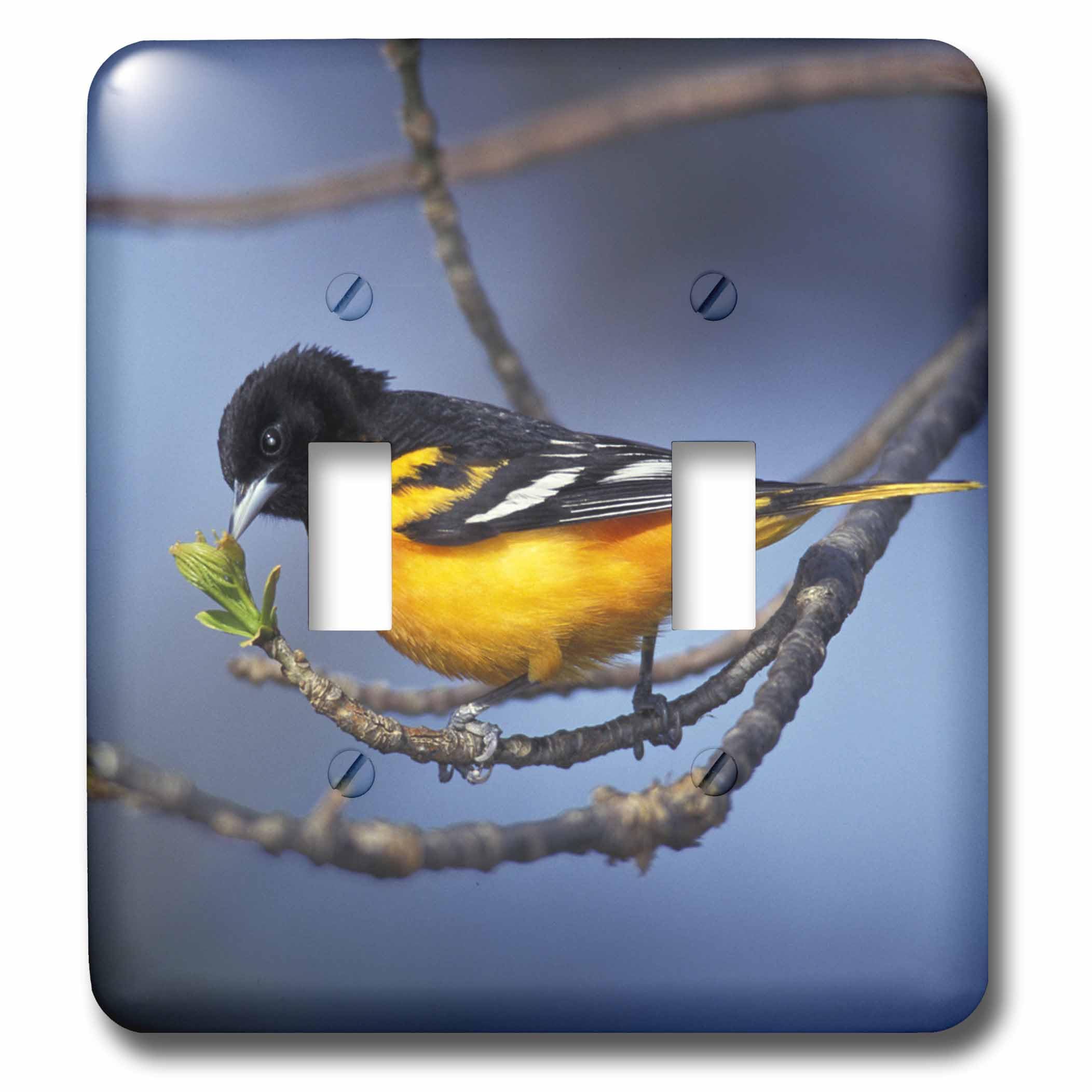 Interrupteur double à bascule Baltimore Oriole finition d'art 3dRose