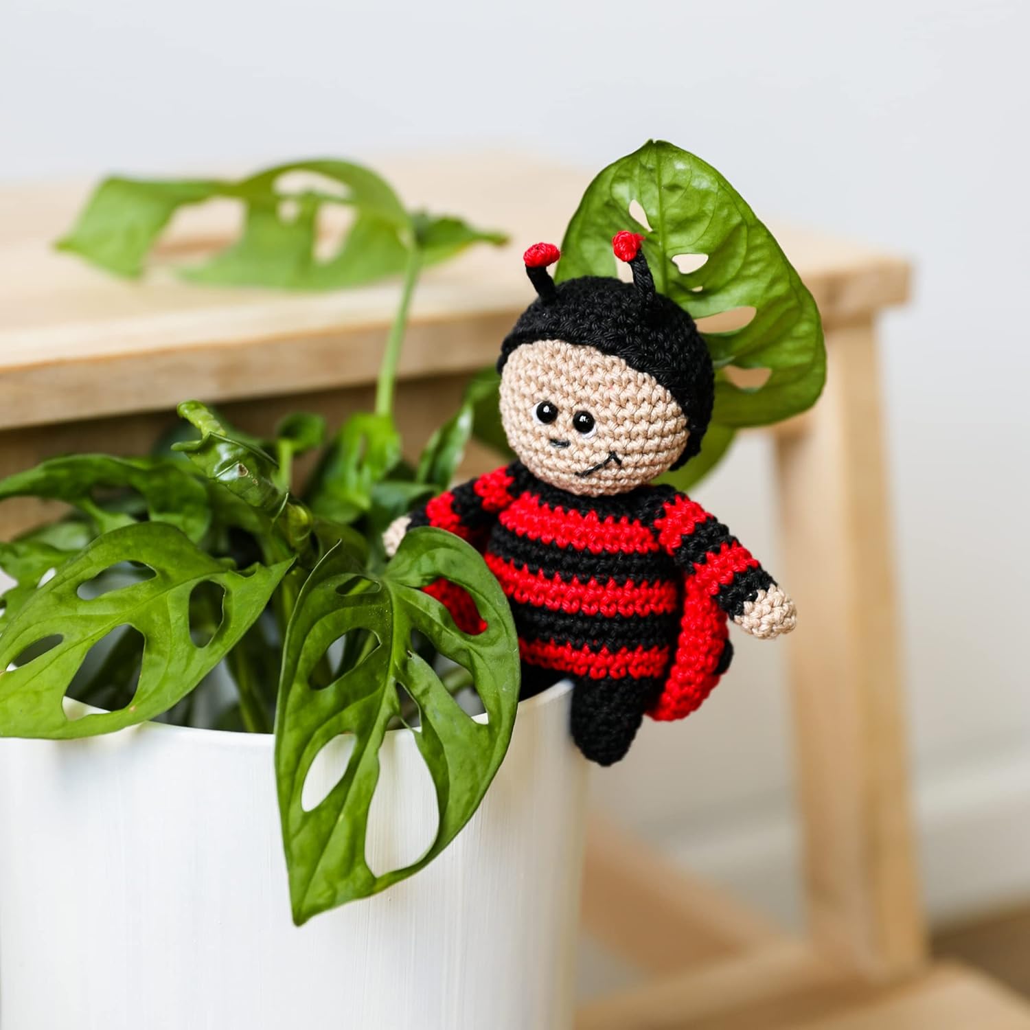 Gründl Cotton Quick Uni 5er-Pack Mix