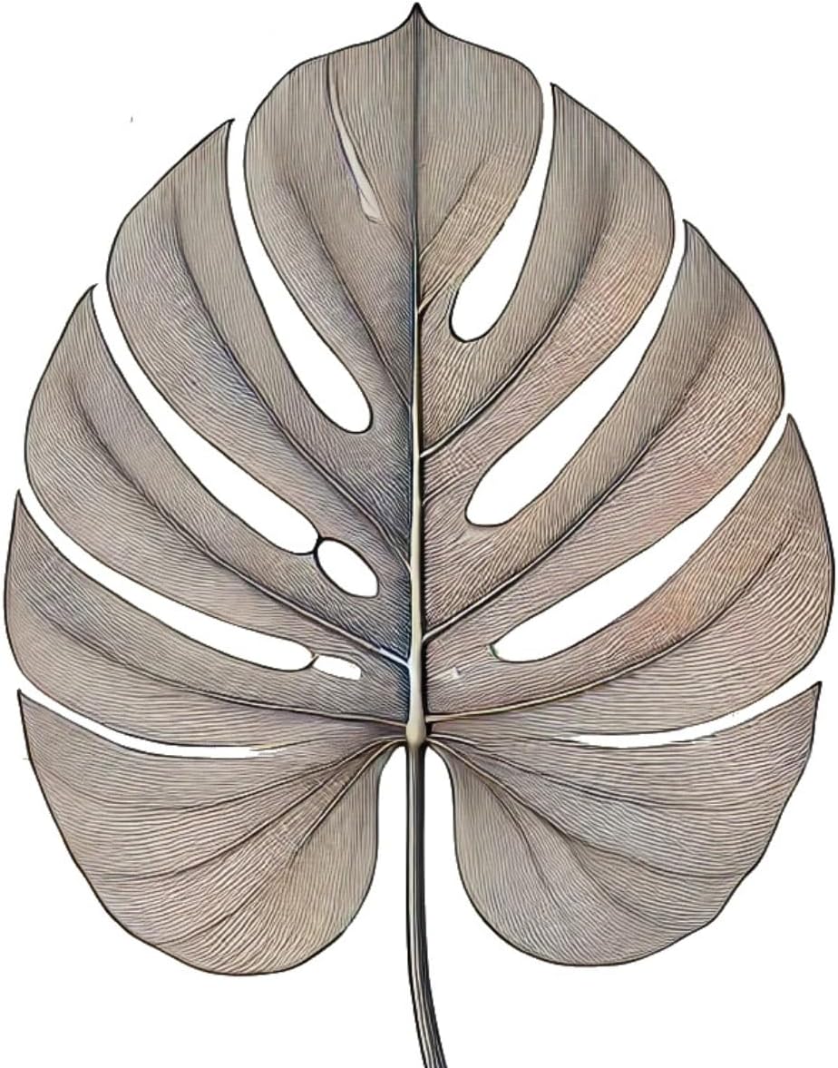 Swiss Cheese Plant (Monstera esceleto) Live Plant in 2.5-inch Pot