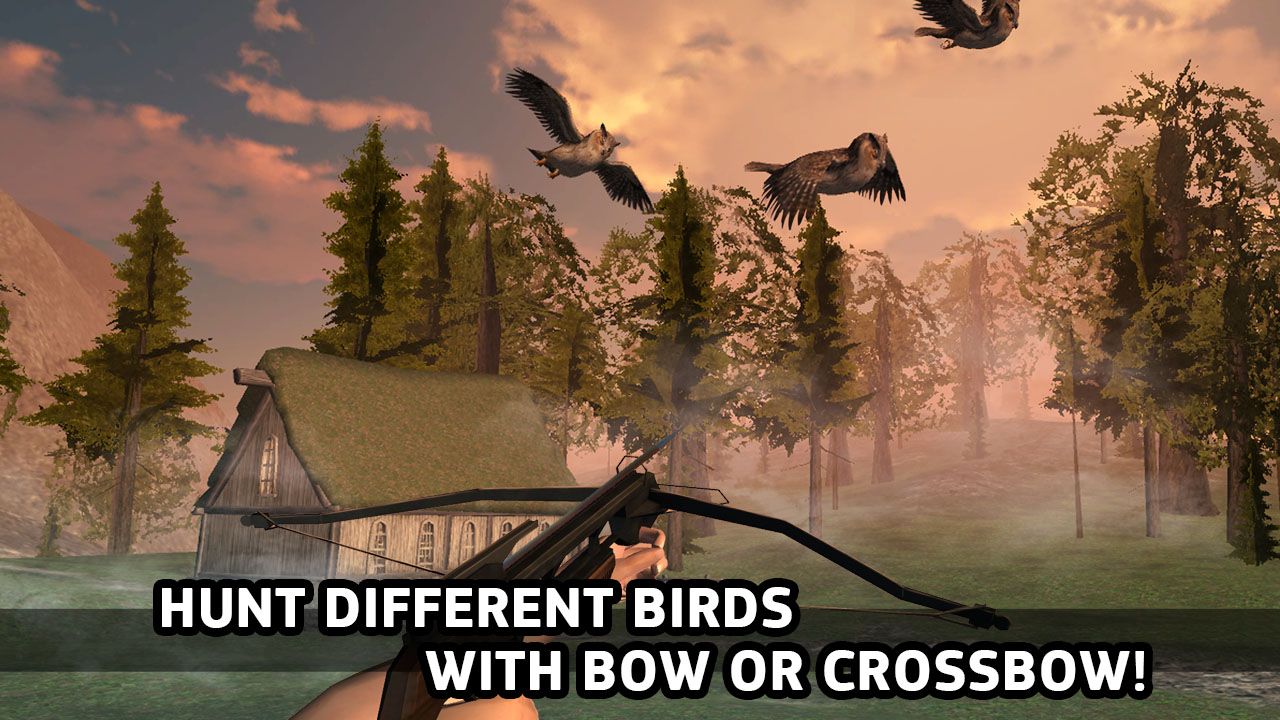 Archery Birds Hunting Sim App on Amazon Appstore