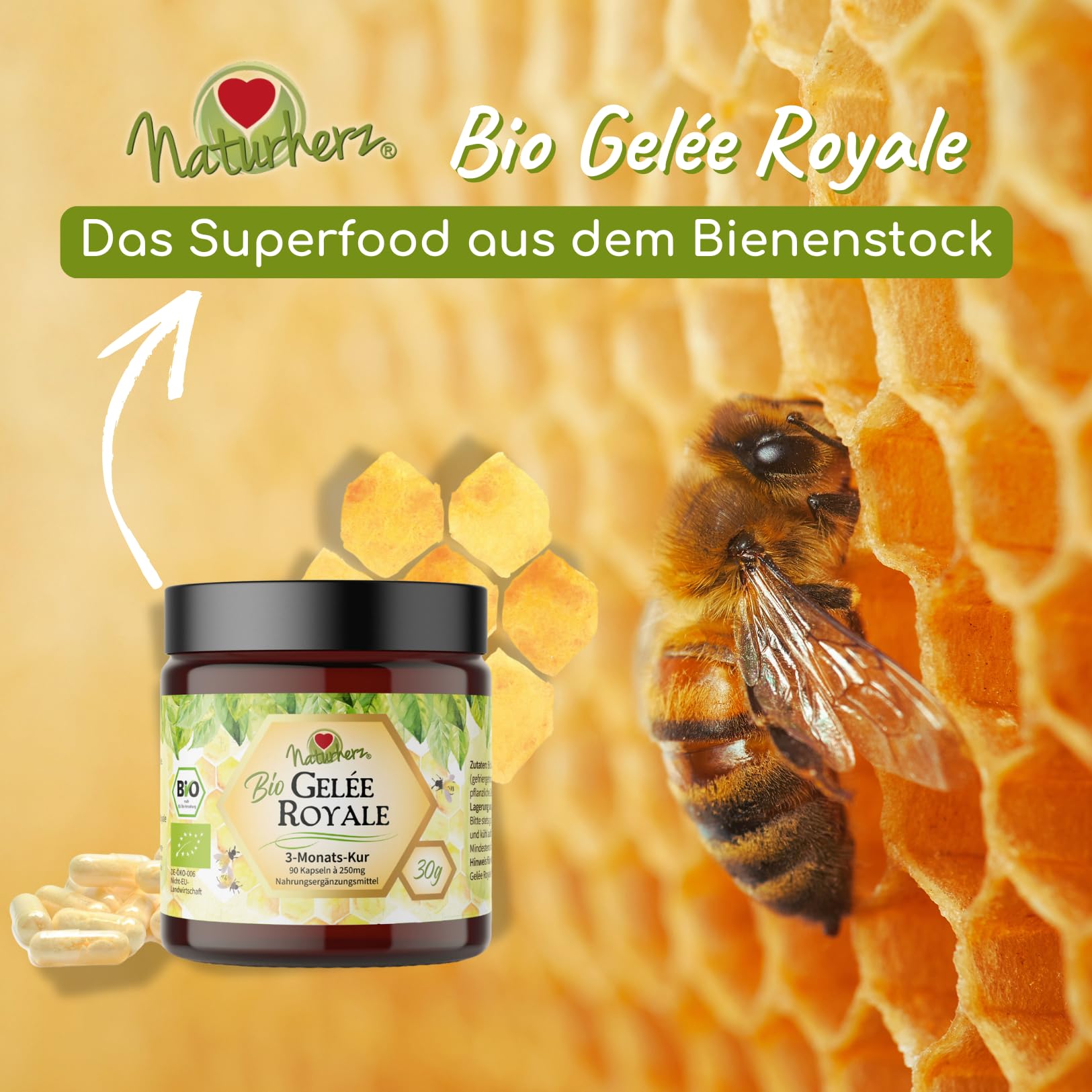 Bio Gelee Royal Kapseln von Naturherz | 100% Gelee Royal Pulver | OHNE Zusätze | 90 Vegi-Caps im praktischen Braungläschen