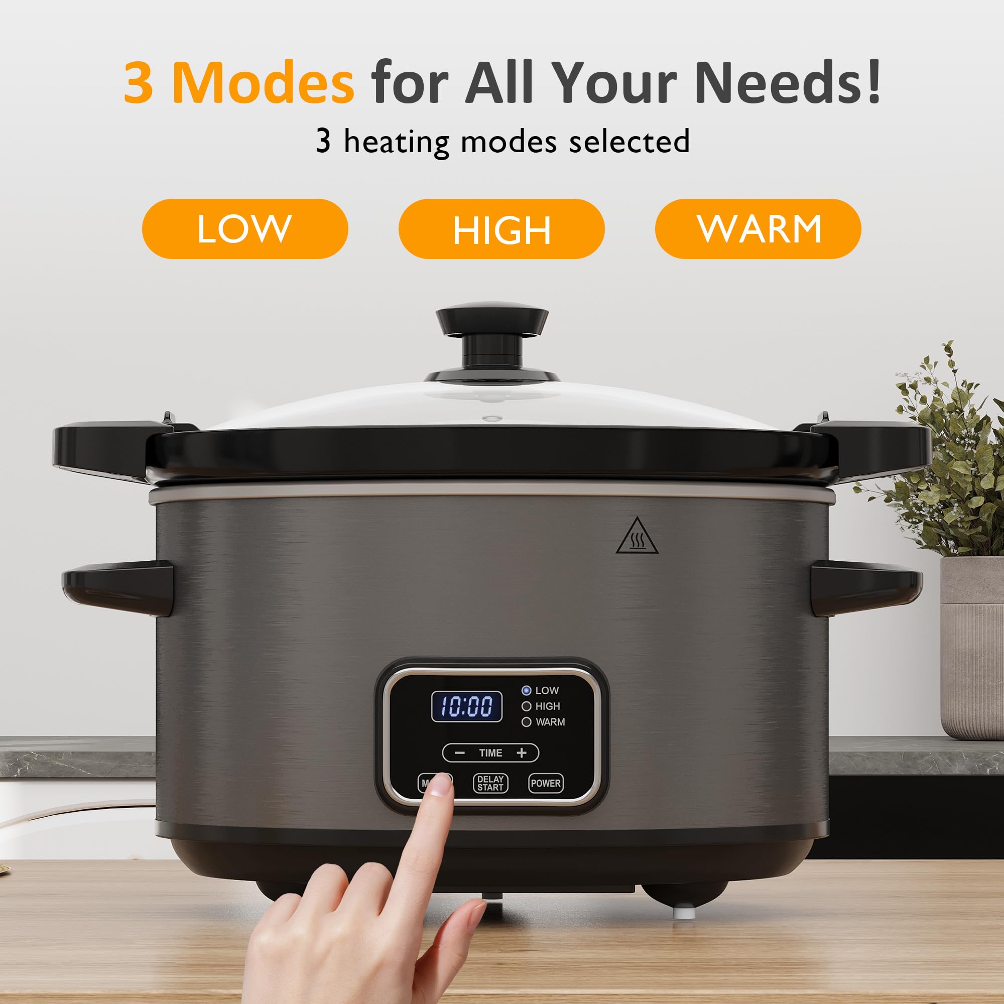 Narita 1.5L Electric Stew Cooker NSQ-165X