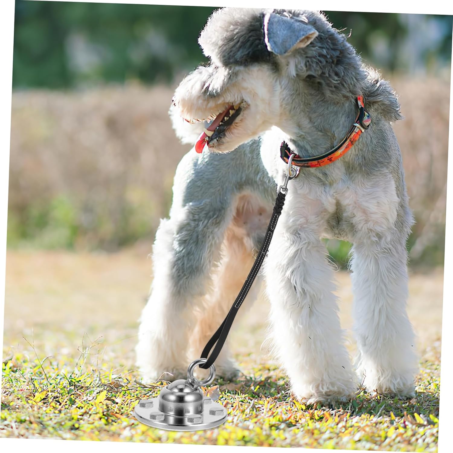POPETPOP Dog Ground Stakes Tie Out Cable Rotation and Easy Installation for Outdoor Use