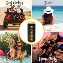 Outer Woods Easily Hide Beer Cans Sleeve Set of 8 – Fits 500ml Cans | Keeps Drinks Cold up to 1.5 Hours | Insulated Covers for Beer, Soda & More | Perfect for Parties, Picnics, Travel (Invincible) gallery image