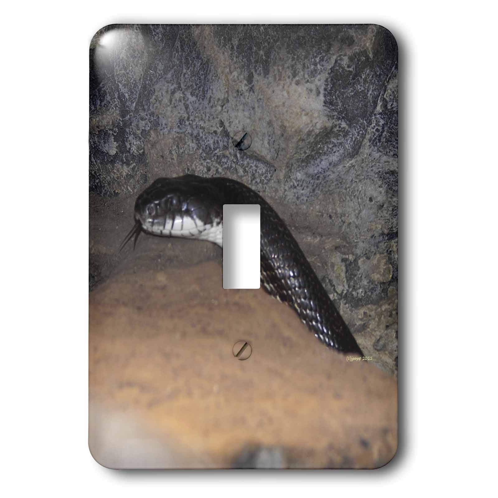 Interrupteur à bascule serpent noir mat, commande simple et précise