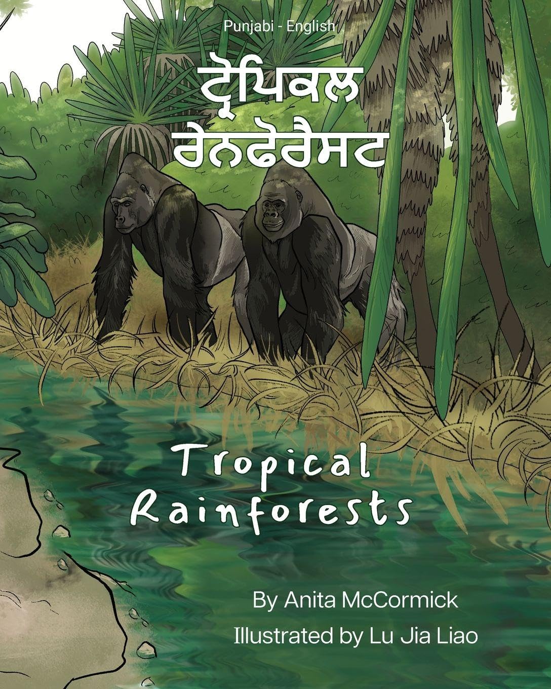 Tropical Rainforests (Punjabi-English): ਟ੍ਰੋਪਿਕਲ ਰੇਨਫੋਰੈਸਟ (Language Lizard Bilingual Explore)