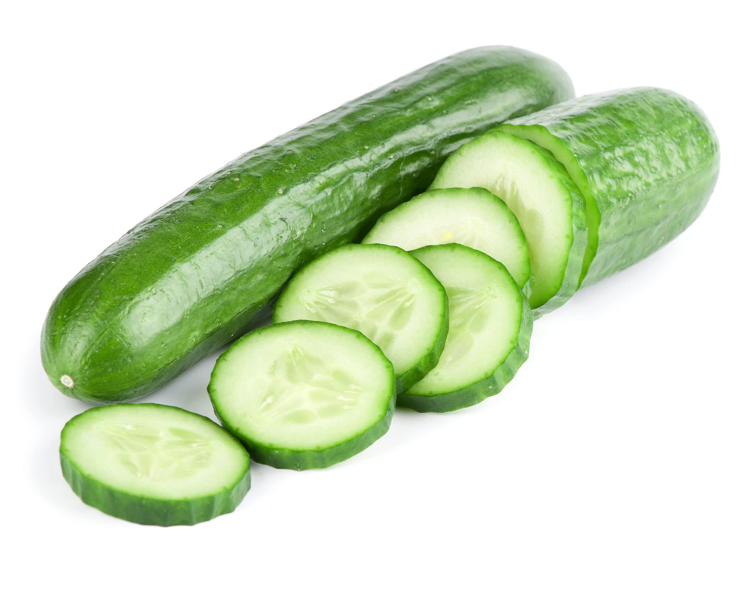 Vegetable Plants, Cucumber 'Tribute', Plug Plant Pack, Cucumber Plants, Cucumbers, Vegetables, Garden Ready and Ready to Plant, Premium Quality Veg (6)