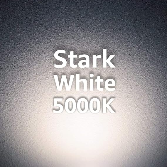 Euri Lighting EA21-22W1050eh, LED A21 22W (150W Equivalent), 2550lm, Dimmable, 5000K (Cool White) E26 Base, Fully Enclosed Rated, Damp Rated, UL & Energy Star,