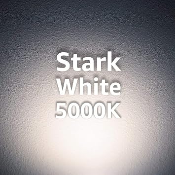 Euri Lighting EA21-22W1050eh, LED A21 22W (150W Equivalent), 2550lm, Dimmable, 5000K (Cool White) E26 Base, Fully Enclosed Rated, Damp Rated, UL & Energy Star,