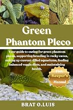 GREEN PHANTOM PLECO: Your guide to caring for green phantom plecos, supporting breeding in rocky caves, setting up current-filled aquariums, feeding balanced veggie diets, and maintaining health.