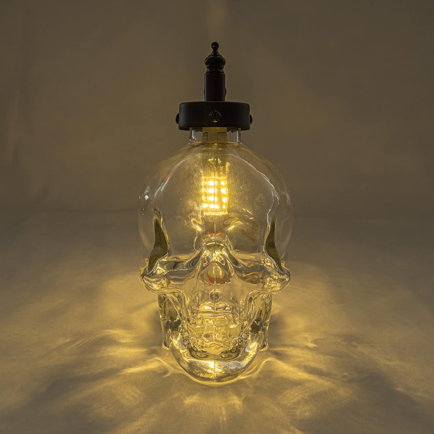 Battery-Powered Skull Table Lamp with Remote Control Stepless Dimming Smart Fairy Lights G9 Glass Desk Light Ambient Lighting 2700K Skeleton Decor Gift Bulb Included Party Camping Trip