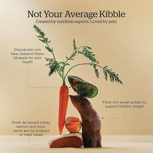 Miniatura 4 de Now Fresh Alimento seco para perros sin granos, carne y pescado reales, pavo, salmón y pato receta para personas mayores, tamaño de todas las razas,