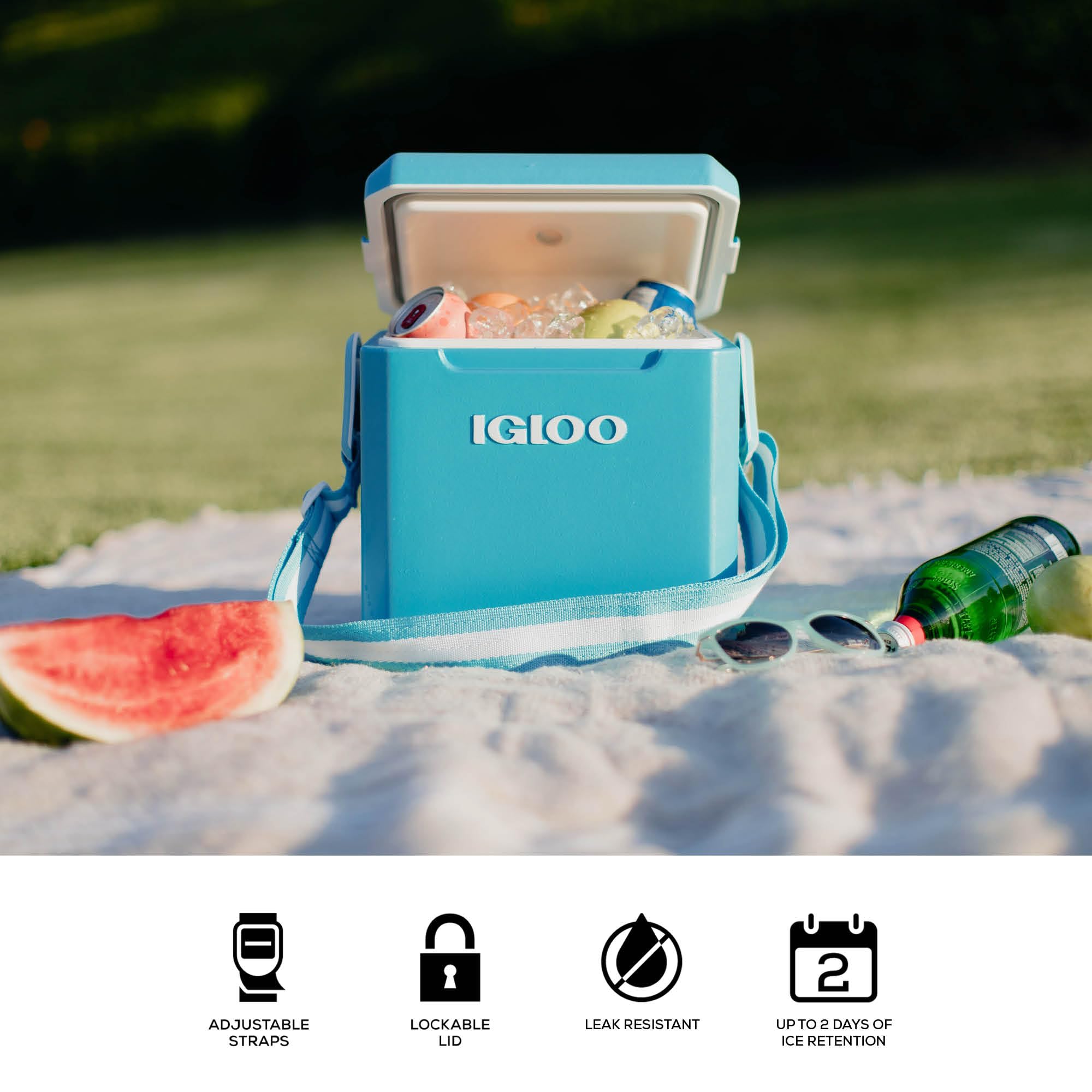 Amazon | Igloo ターコイズ 11クォート タグA-ロング ハード