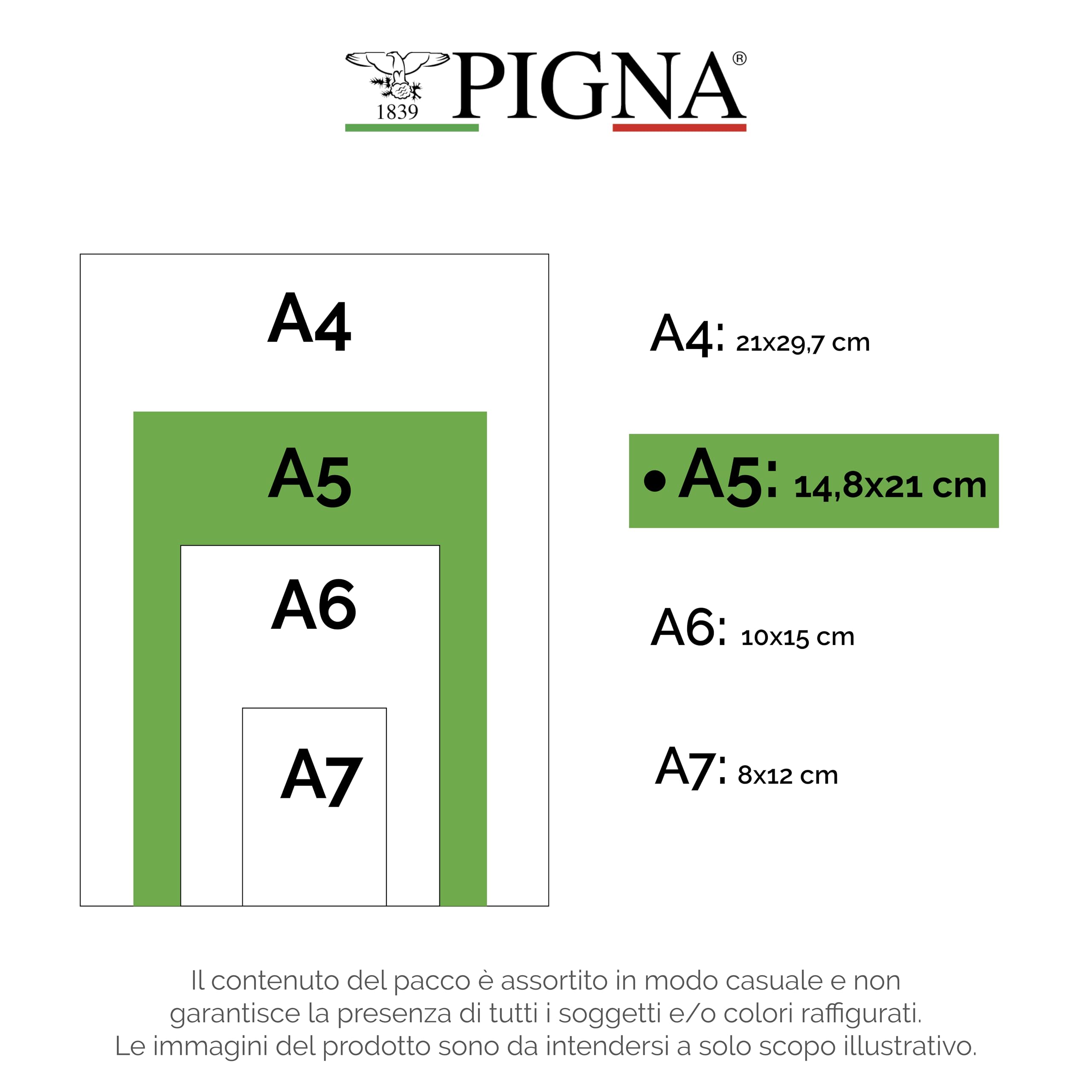Pigna Quaderni Monocromo Assortiti A5 80 g/m² 10 unità 40 fogli
