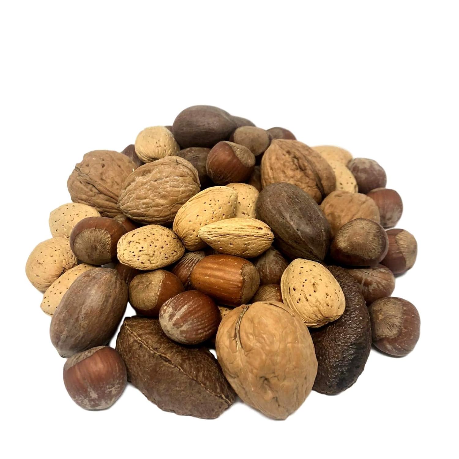Amazon Com Nuts U S Mixed Nuts In Shell Almonds Walnuts Hazelnuts Pecans Brazil Nuts No Added Colors And No Artificial Flavors Fresh Buttery Taste And Raw Packed In Resealable