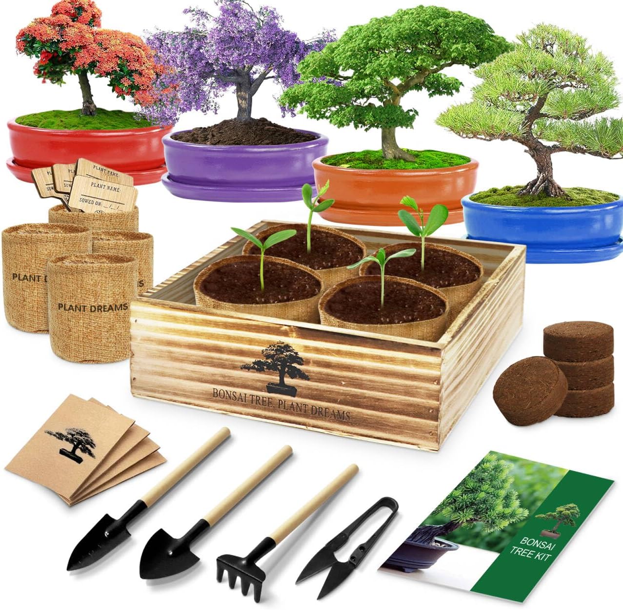Bonsai Tree Kit, Bonsai Starter Kit with 4 Types of Seeds, Tools & Planters, Bonsai Tree Live Plants Indoor, Gardening Gifts for Women Men Mom Father Plant Lover, Unique