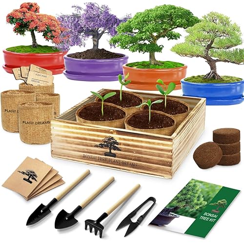 Bonsai Starter Kit with Bonsai Tree Seeds, Tools & Planters, Gardening Gifts for Plant Lover Women Men Mom Father