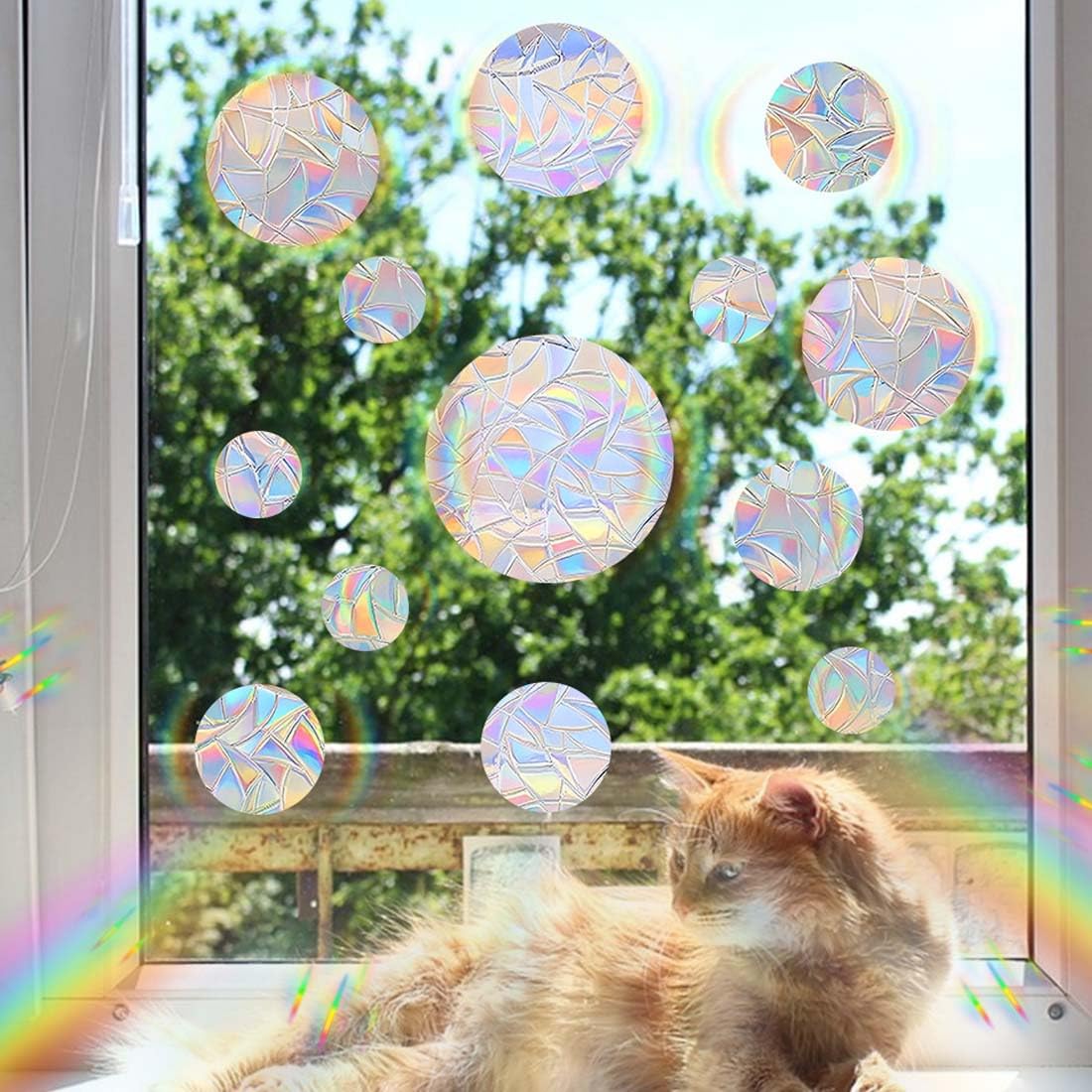 65 Adesivi Arcobaleno Per Finestre Anti Collisione: Proteggi Gli Uccelli E Decora Con Stile!