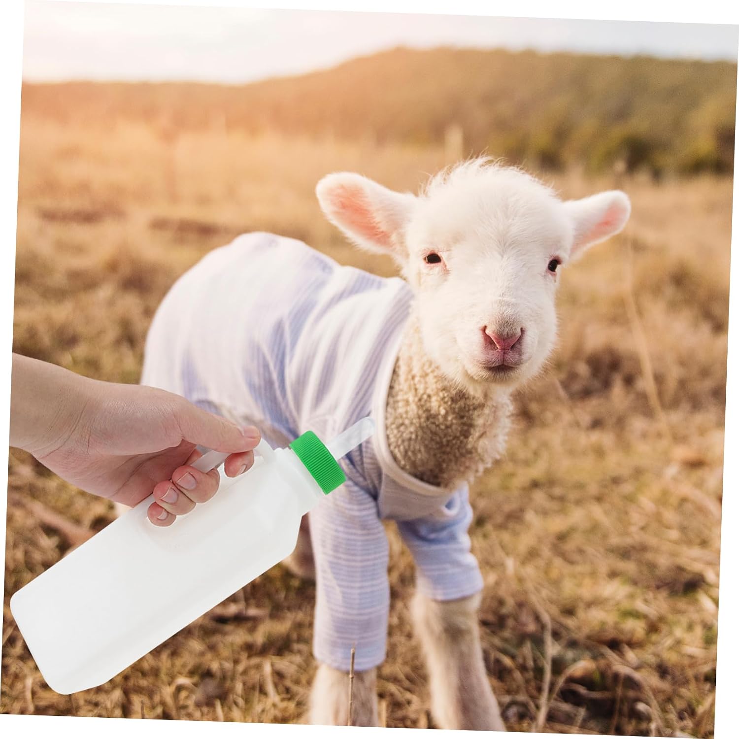 Kisangel 6pcs Lamb Feeding Nipples for Nursing Bottles Bite Pacifier for Sheep and Goat Milk Feeding Lightweight and Easy to Install Compatible with Goat Bottles