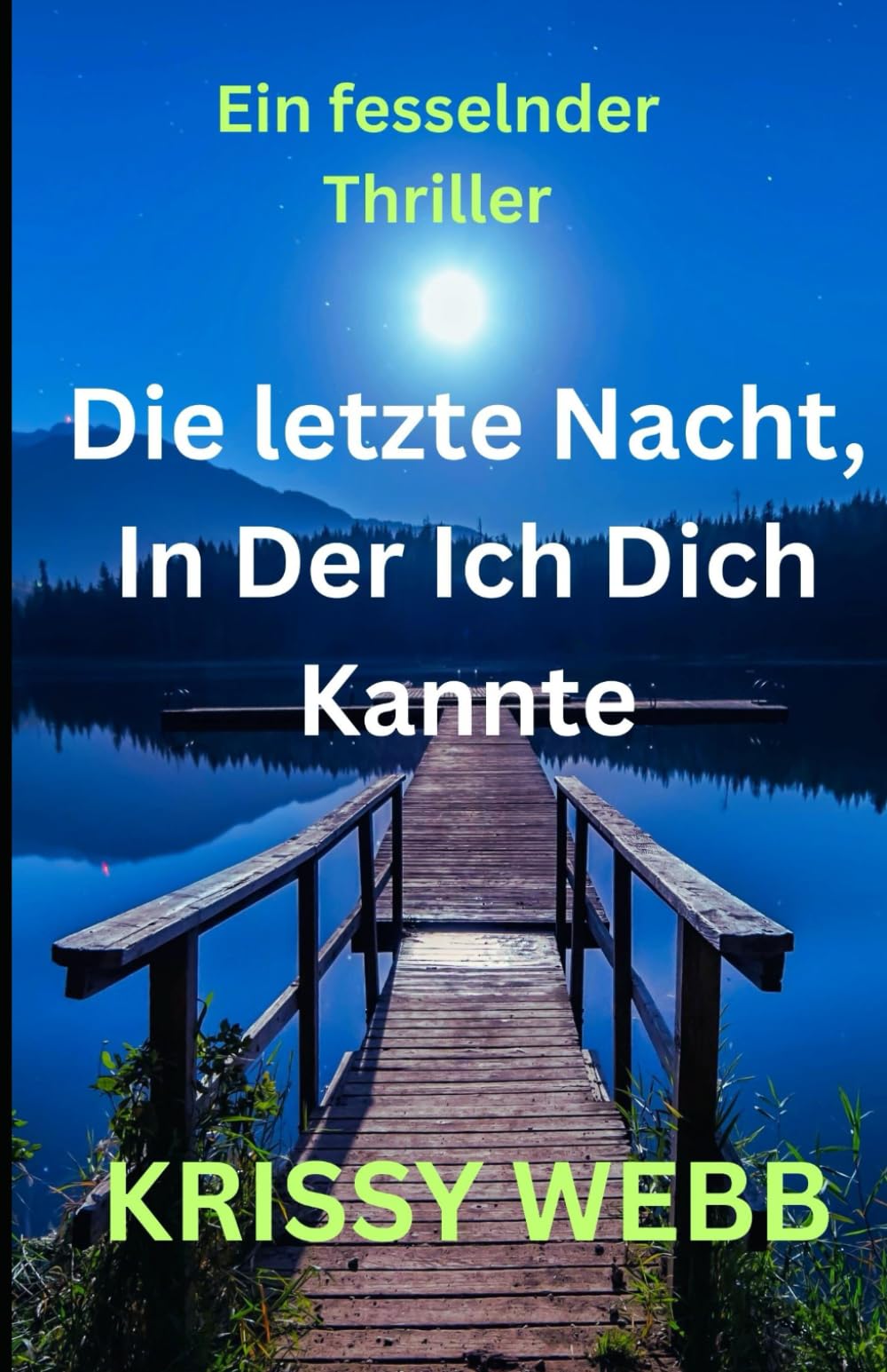 Die letzte Nacht, In Der Ich Dich Kannte: Ein Thriller