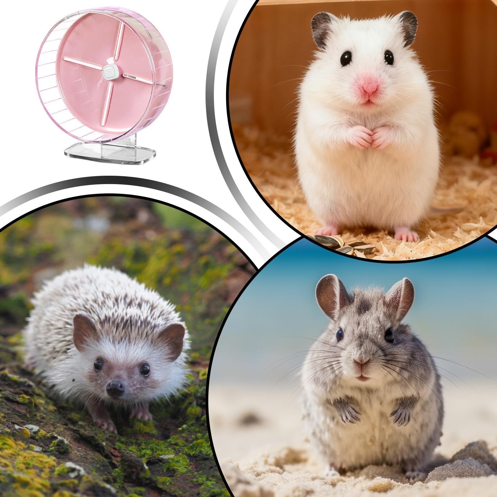 Roue pour hamster de 26 cm avec support réglable