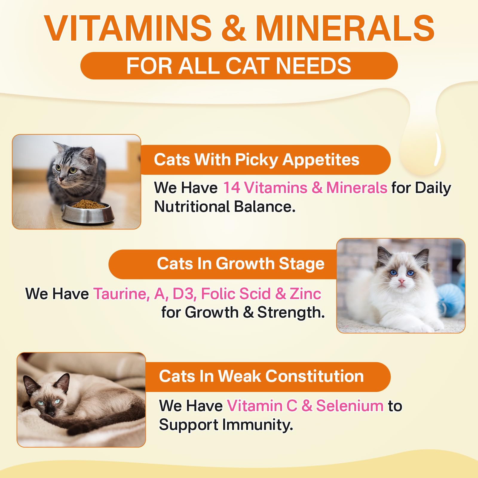 Puyrzoe 500 Cat Multivitamins Chews, Crunchy & Creamy Cheese Core - Image 4