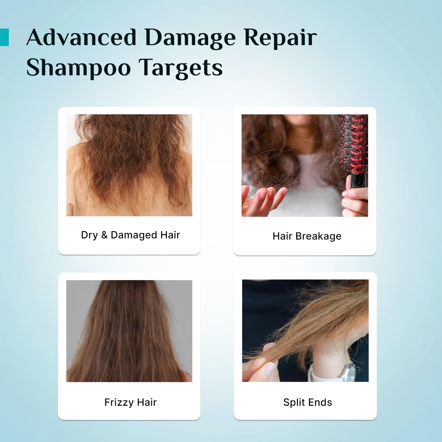 Pilgrim Korean Rice Water & Collagen Advanced Damage Repair Shampoo - 200ml | with 17 Amino Acids, Wheat Protein & 5 Ceramides | Paraben-Free | For Dry & Damaged Hair | For Women and Men - Image 6 thumbnail