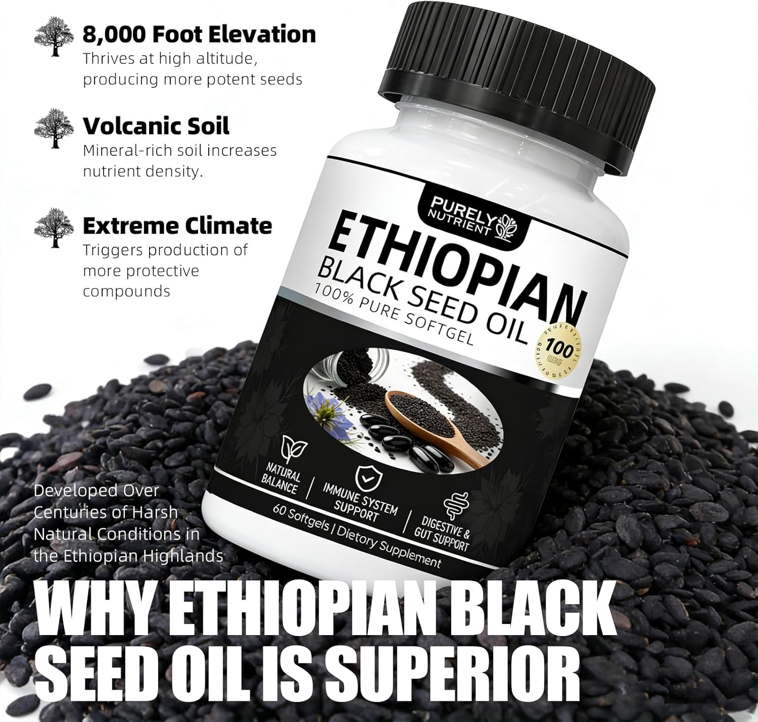 Purely Nutrient Ethiopian Black Seed Oil, Ethiopian Black Seed Oil Softgels |4.64% Thymoquinone | Non-GMO, Gluten-Free,60 Capsules-1PCS