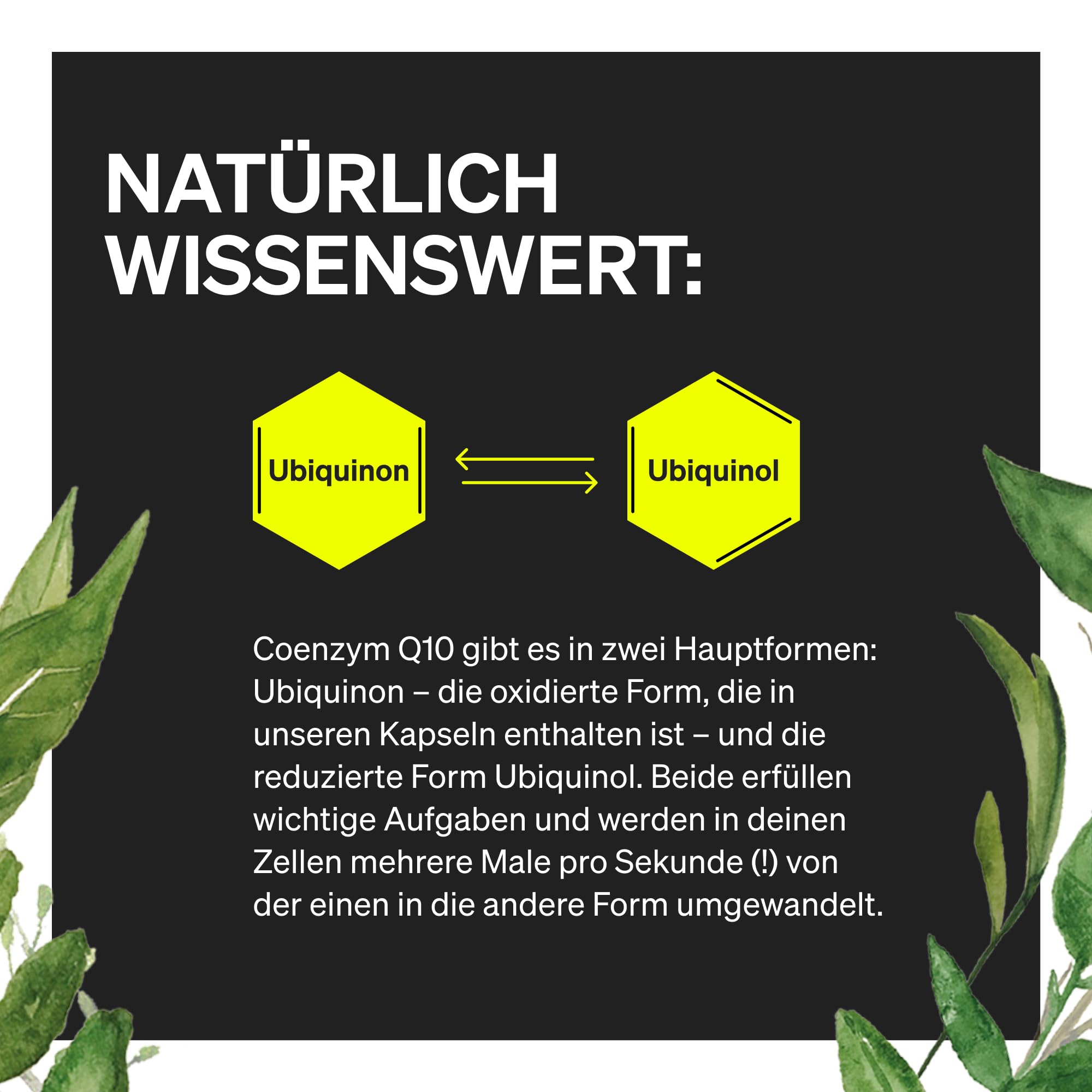 natural elements Coenzym Q10 – 200mg pro Kapsel – 120 vegane Kapseln – 4 Monate Reichweite – hochwertiges Q10 – hochdosiert, in Deutschland produziert & laborgeprüft