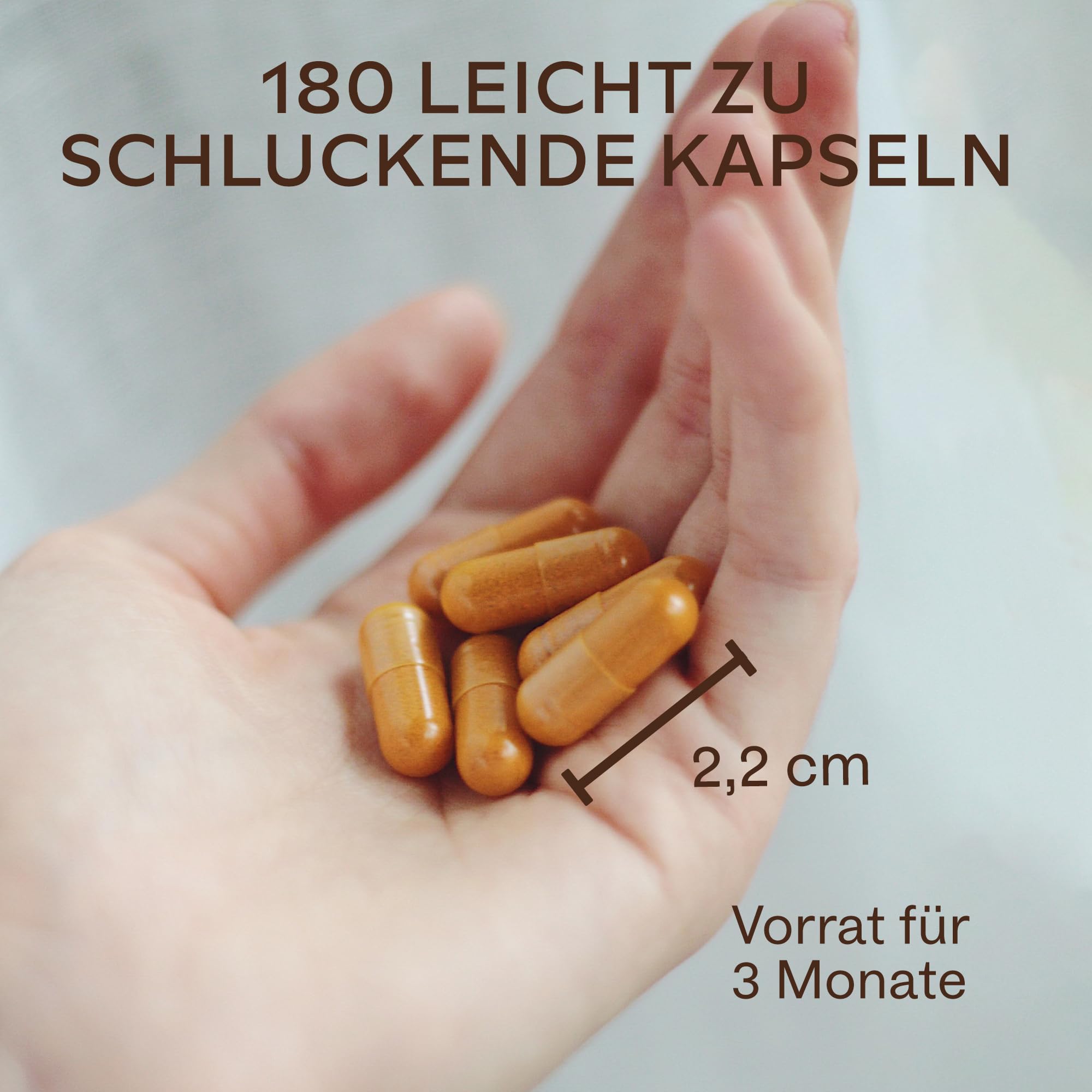 Kurkuma Kapseln Hochdosiert mit 95% Curcumin mit Piperin und Ingwer Kapseln Aavalabs - Curcumin Kapseln Vegan & Laborgeprüft - 180 Curcuma Kapseln Hochdosiert [Turmeric Capsules]