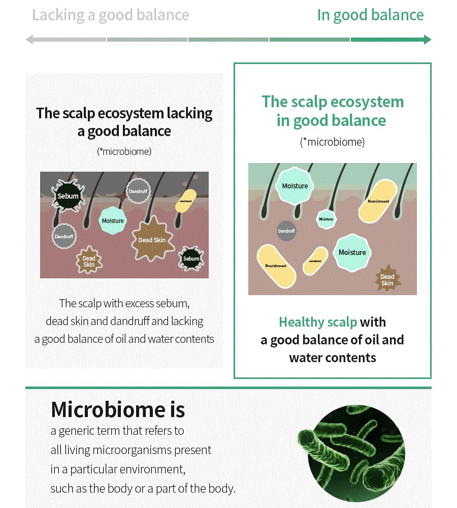 5 Probiotics Scalp Scaling Shampoo