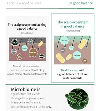 5 Probiotics Scalp Scaling Shampoo