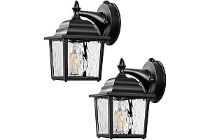 DEWENWILS 2-Pack Dusk to Dawn Outdoor Wall Light Fixture