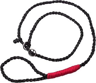 Golden Pets Paracord Retrieverleine I Zugstopp I 1,7m I reflektierend, extrem leicht & robust I integrierter Halsung I geflochtene hochwertige Trainingsleine I + Gratis E-Book